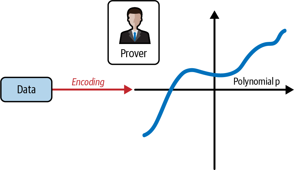 Prover encodes data as polynomial